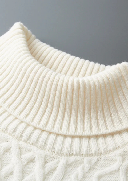Pure Extra-Fine Merino Wool Wintertime Rollneck | Castielli