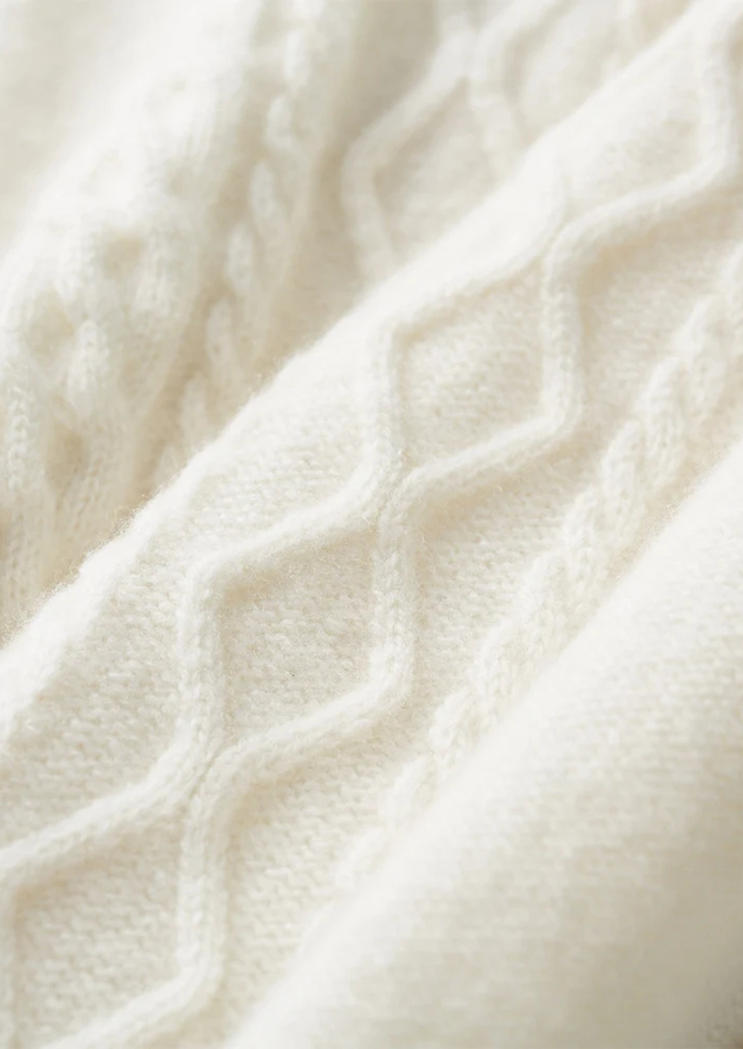 Pure Extra-Fine Merino Wool Wintertime Rollneck | Castielli