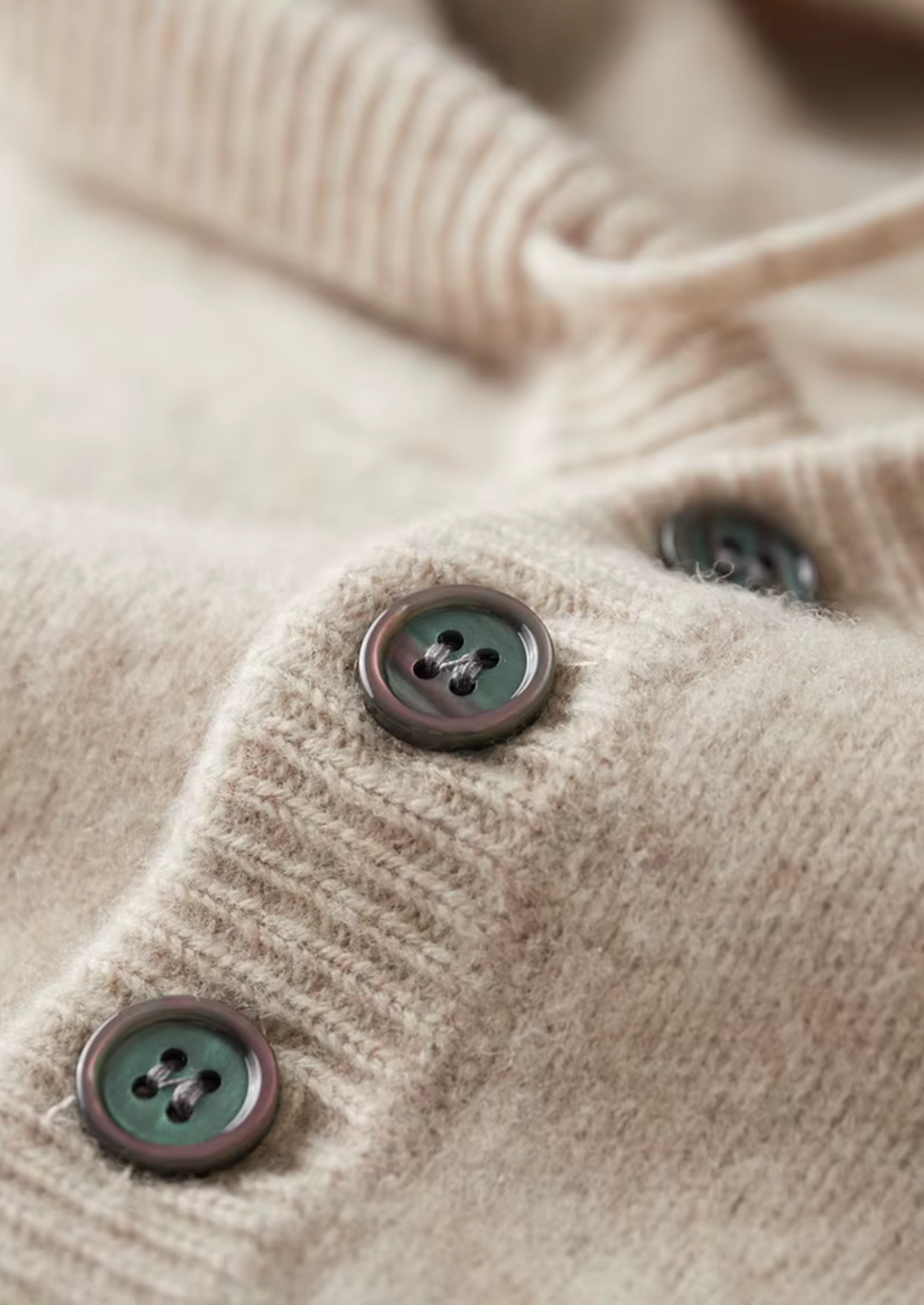 Pure Extra-Fine Merino Wool Button Hoodie | Castielli