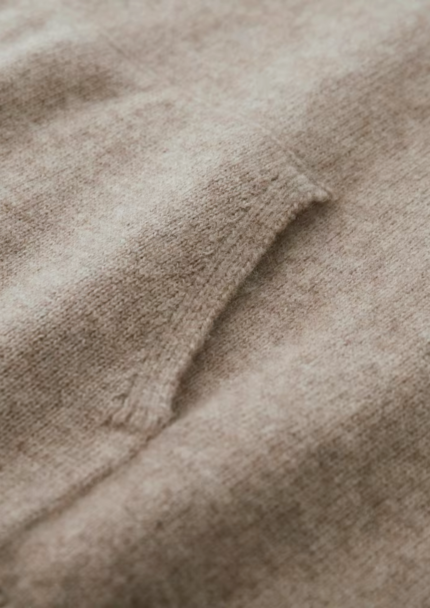 Premium Cashmere Essential Hoodie | Castielli