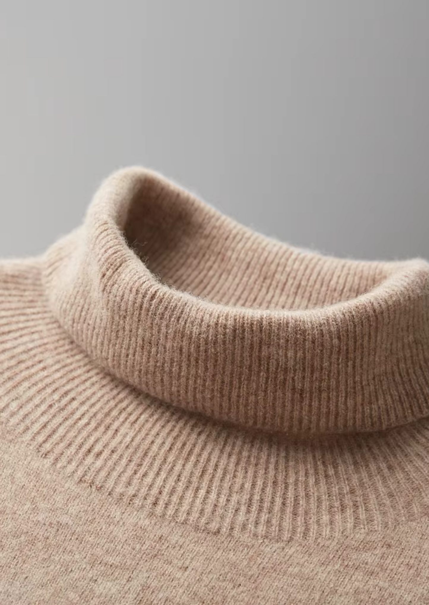 Pure Extra-Fine Merino Wool Classic Rollneck | Castielli