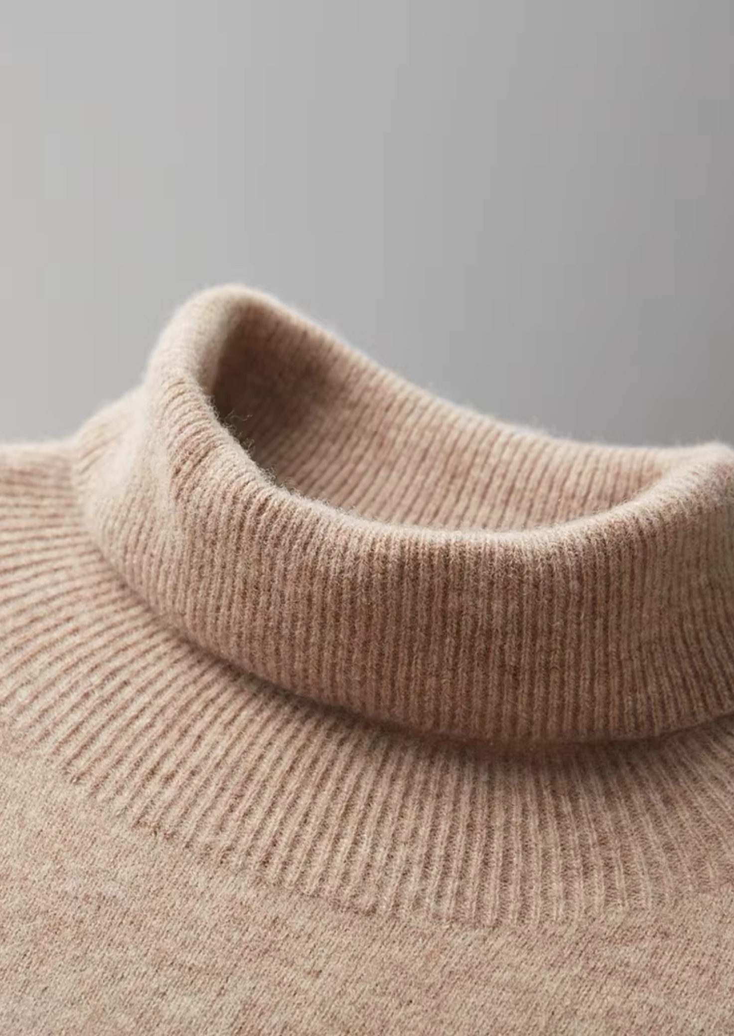 Pure Extra-Fine Merino Wool Classic Rollneck | Castielli