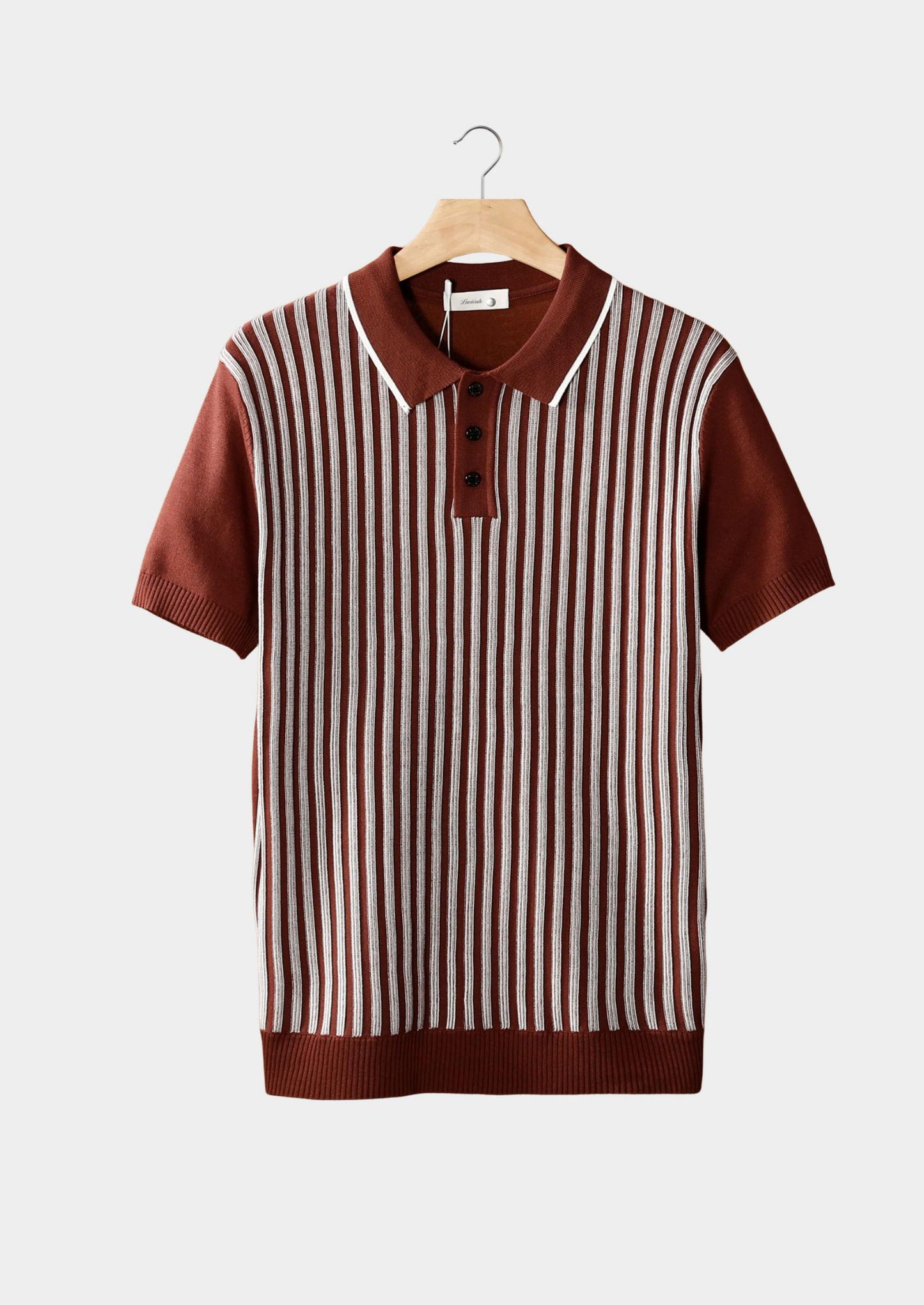Rust Brown Vertical Striped Polo | Castielli